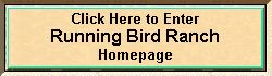 Running Bird Ranch Homepage