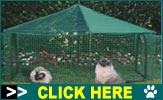 Cat Supplies