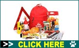 Emergency Auto Survival
