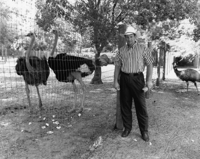 jeff mann with ostrich & emu